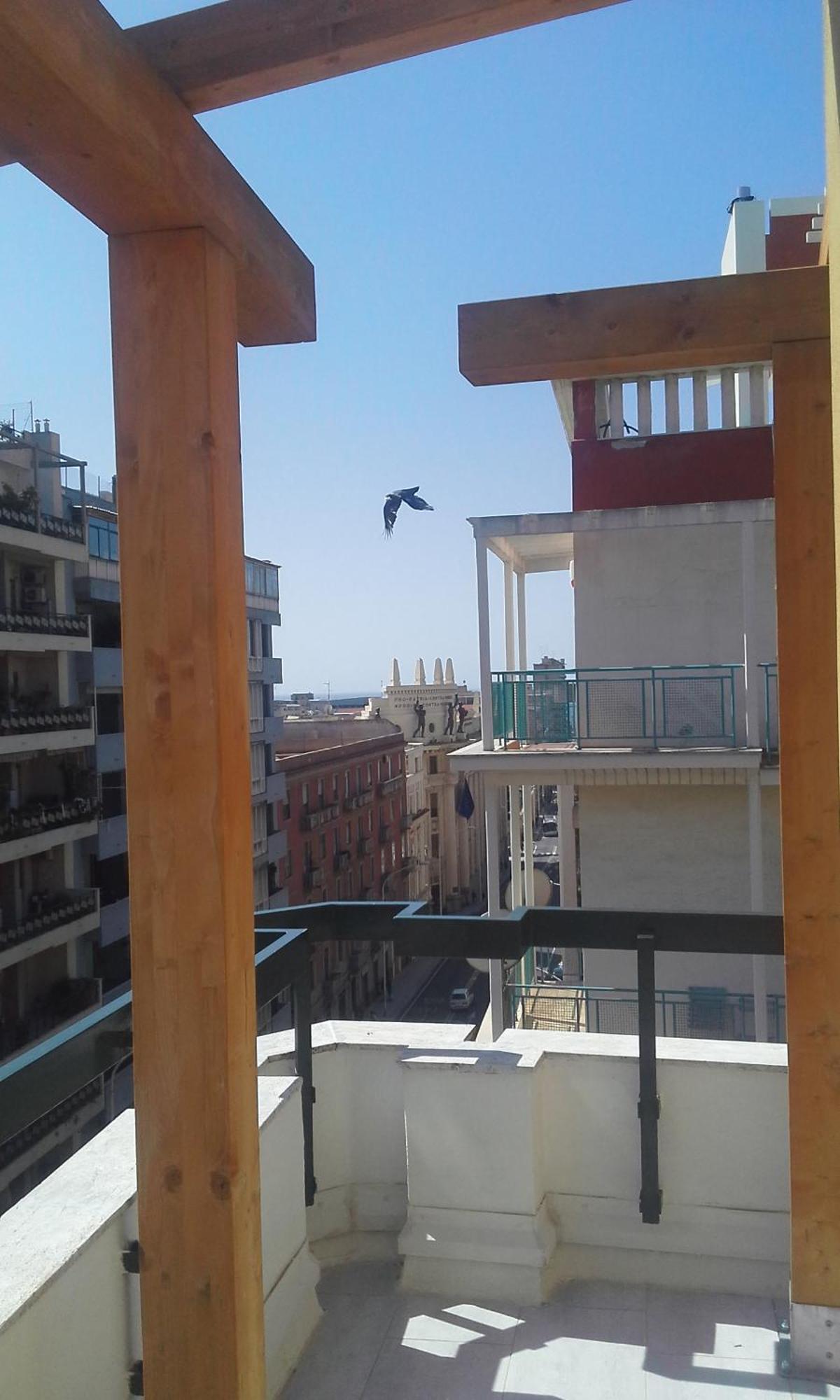 Willa Monolocale Sonnino Cagliari Zewnętrze zdjęcie